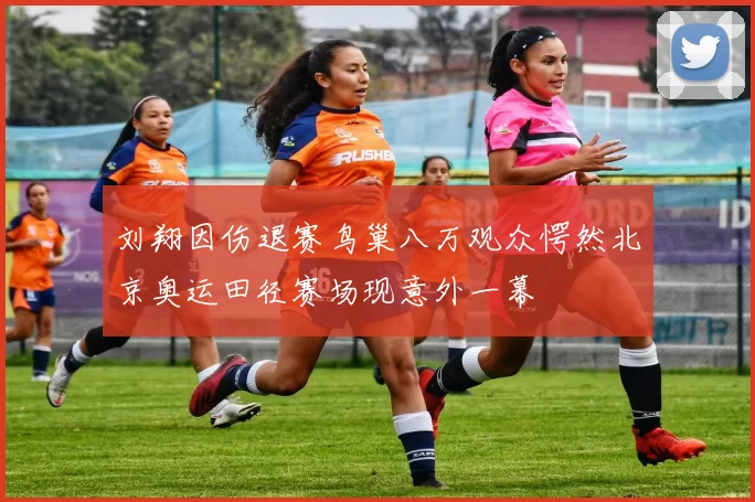 刘翔因伤退赛鸟巢八万观众愕然北京奥运田径赛场现意外一幕