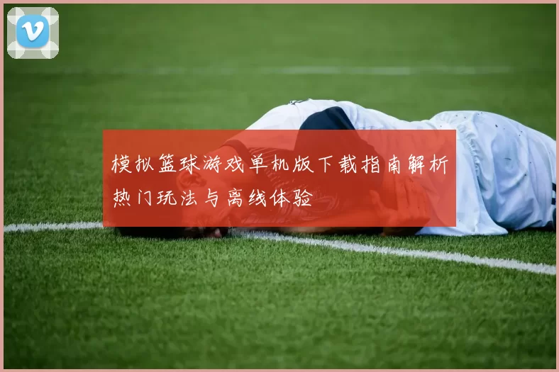 模拟篮球游戏单机版下载指南解析热门玩法与离线体验