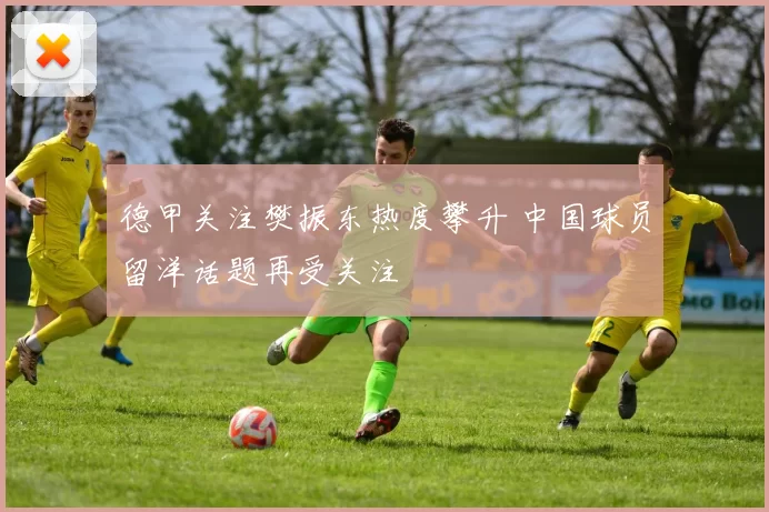 德甲关注樊振东热度攀升 中国球员留洋话题再受关注