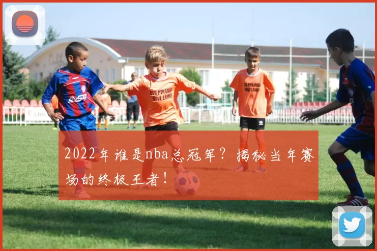 2022年谁是nba总冠军？揭秘当年赛场的终极王者！