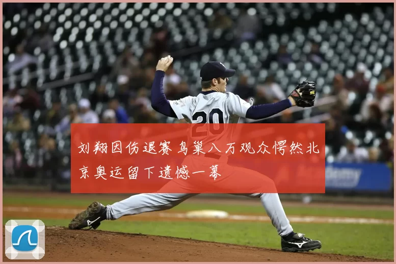 刘翔因伤退赛鸟巢八万观众愕然北京奥运留下遗憾一幕