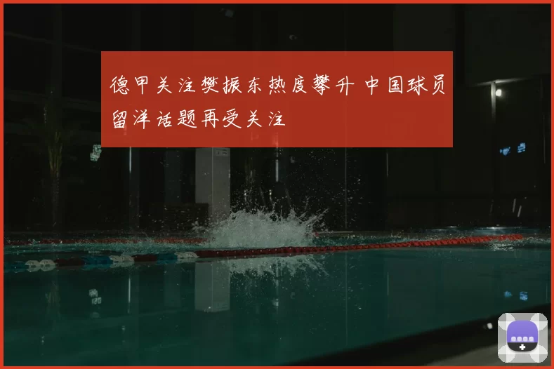 德甲关注樊振东热度攀升 中国球员留洋话题再受关注