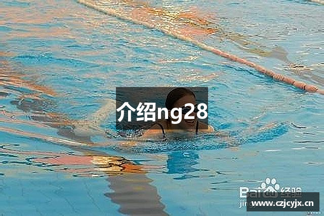 介绍ng28
